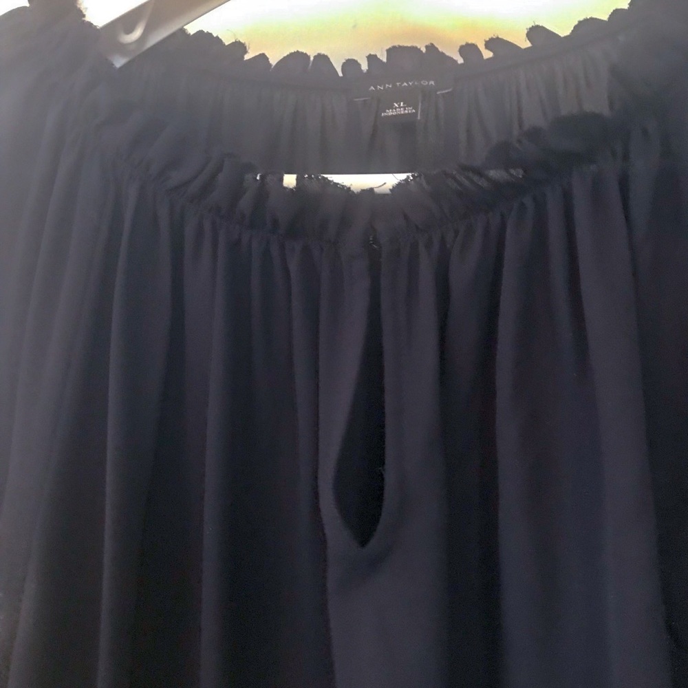 Ann Taylor XL long sleeved sheer blouse